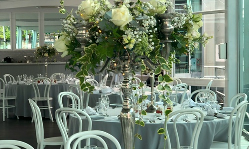 Function flowers-62
