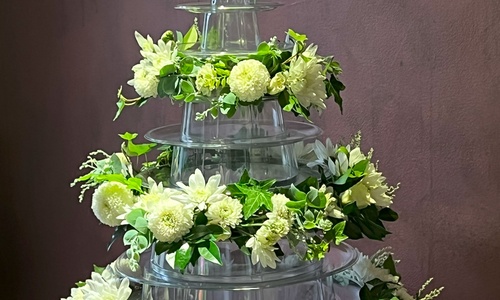 Function flowers-51