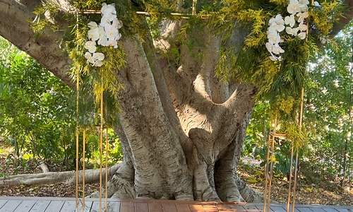 Ceremony flowers-27
